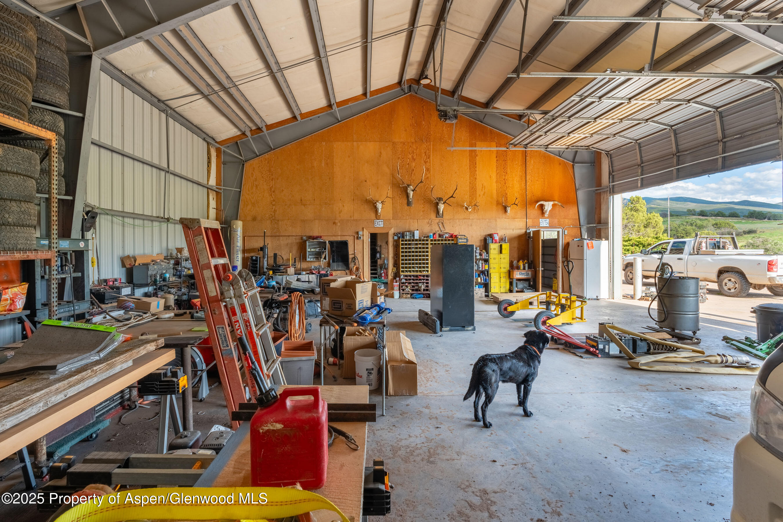 1644 Prince Creek Road Carbondale, CO 81623 - Photo 37 of 80 TurnaboutRanch_DASH64