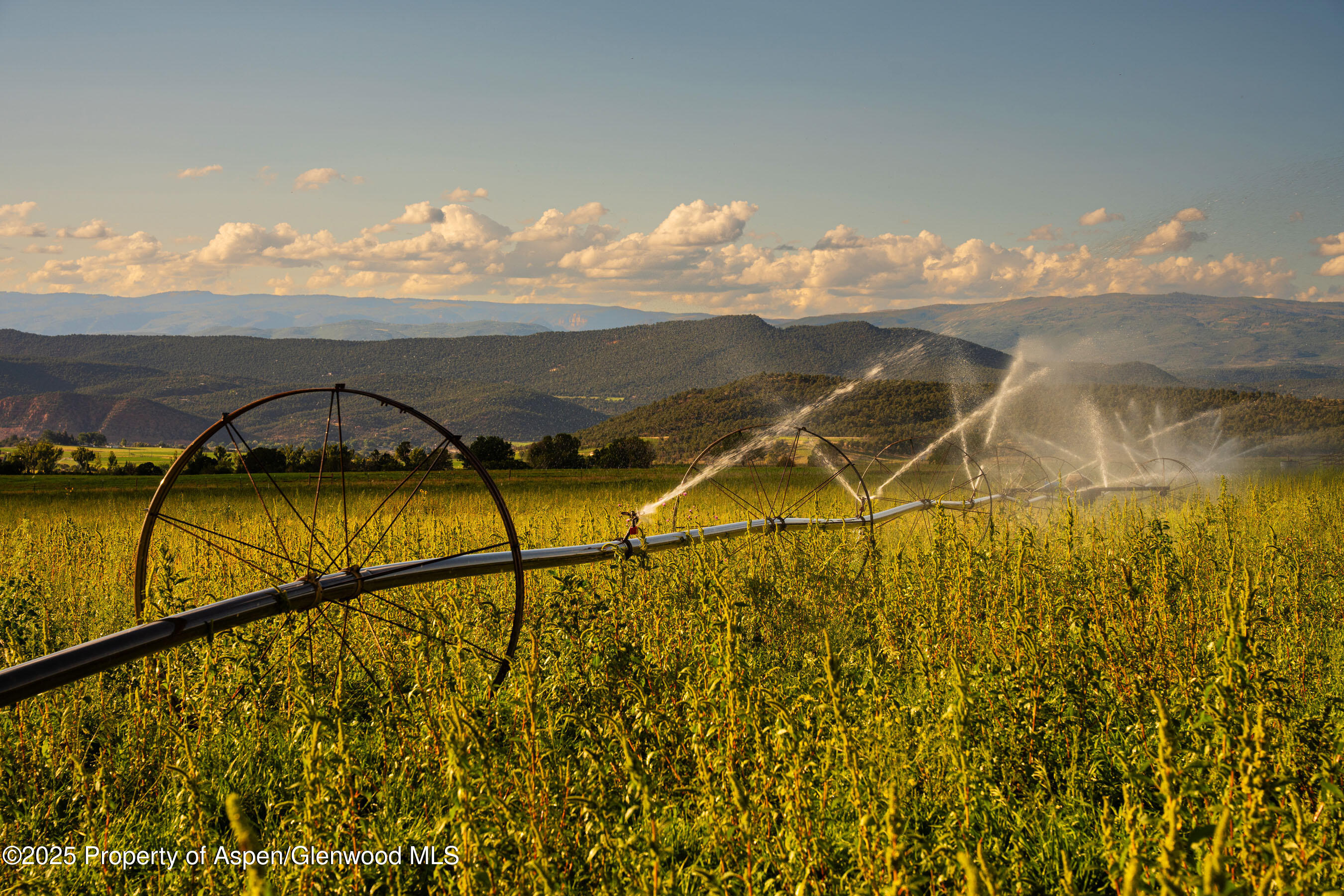 1644 Prince Creek Road Carbondale, CO 81623 - Photo 44 of 80 TurnaboutRanch_DASH135