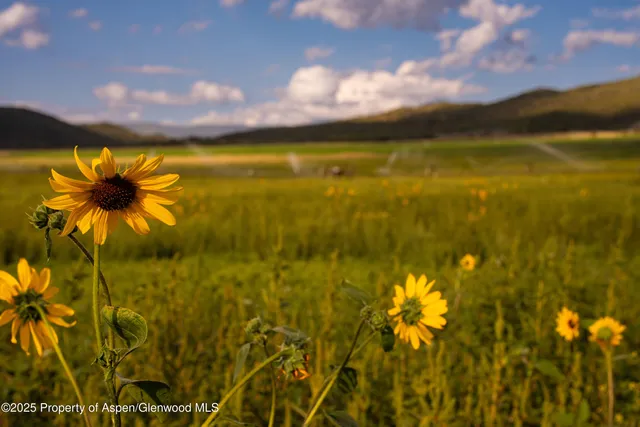 $22,500,000 | 1644 Prince Creek Road, Carbondale, CO 81623