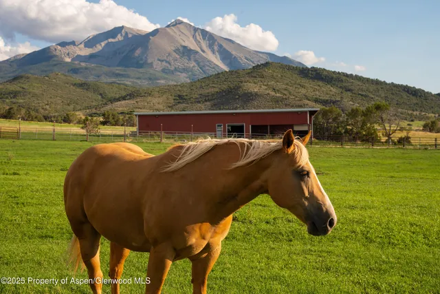 $22,500,000 | 1644 Prince Creek Road, Carbondale, CO 81623