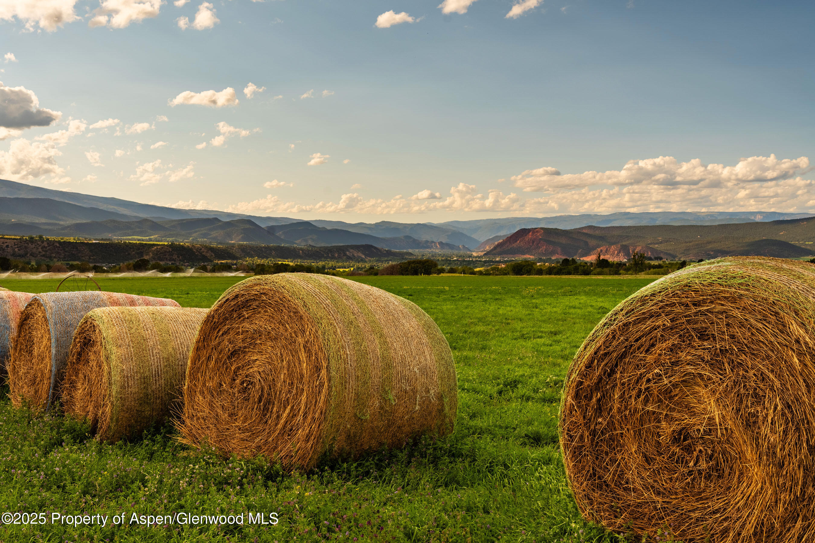 1644 Prince Creek Road Carbondale, CO 81623 - Photo 8 of 80 TurnaboutRanch_DASH73