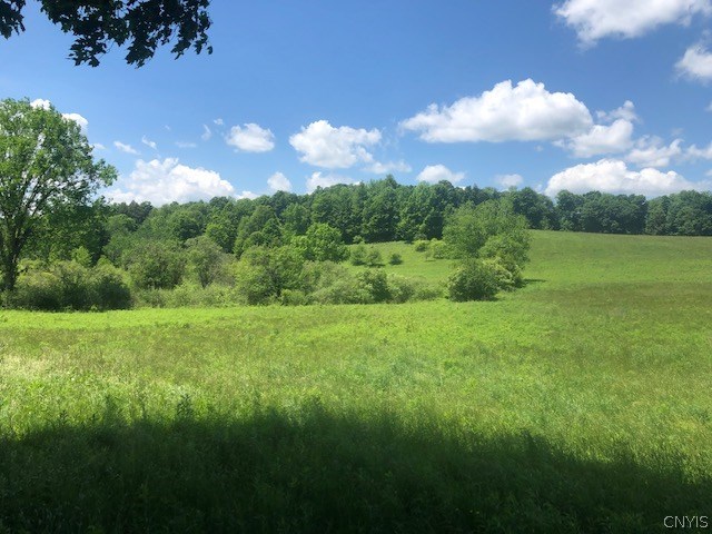 10277 Chesebro Road Brookfield, NY 13485 - Photo 16 of 24