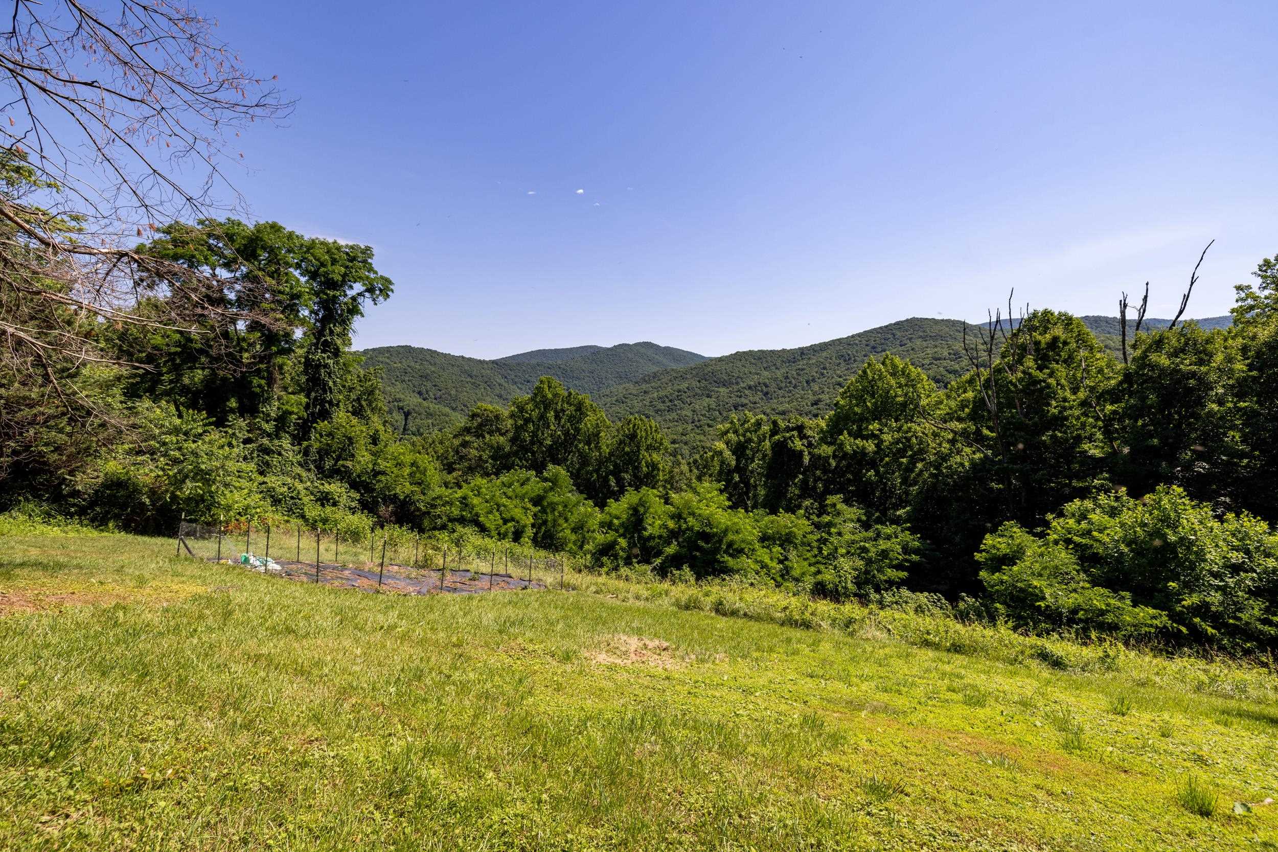1093 Overlook Mountain Road Elkton, VA 22827 - Photo 46 of 63