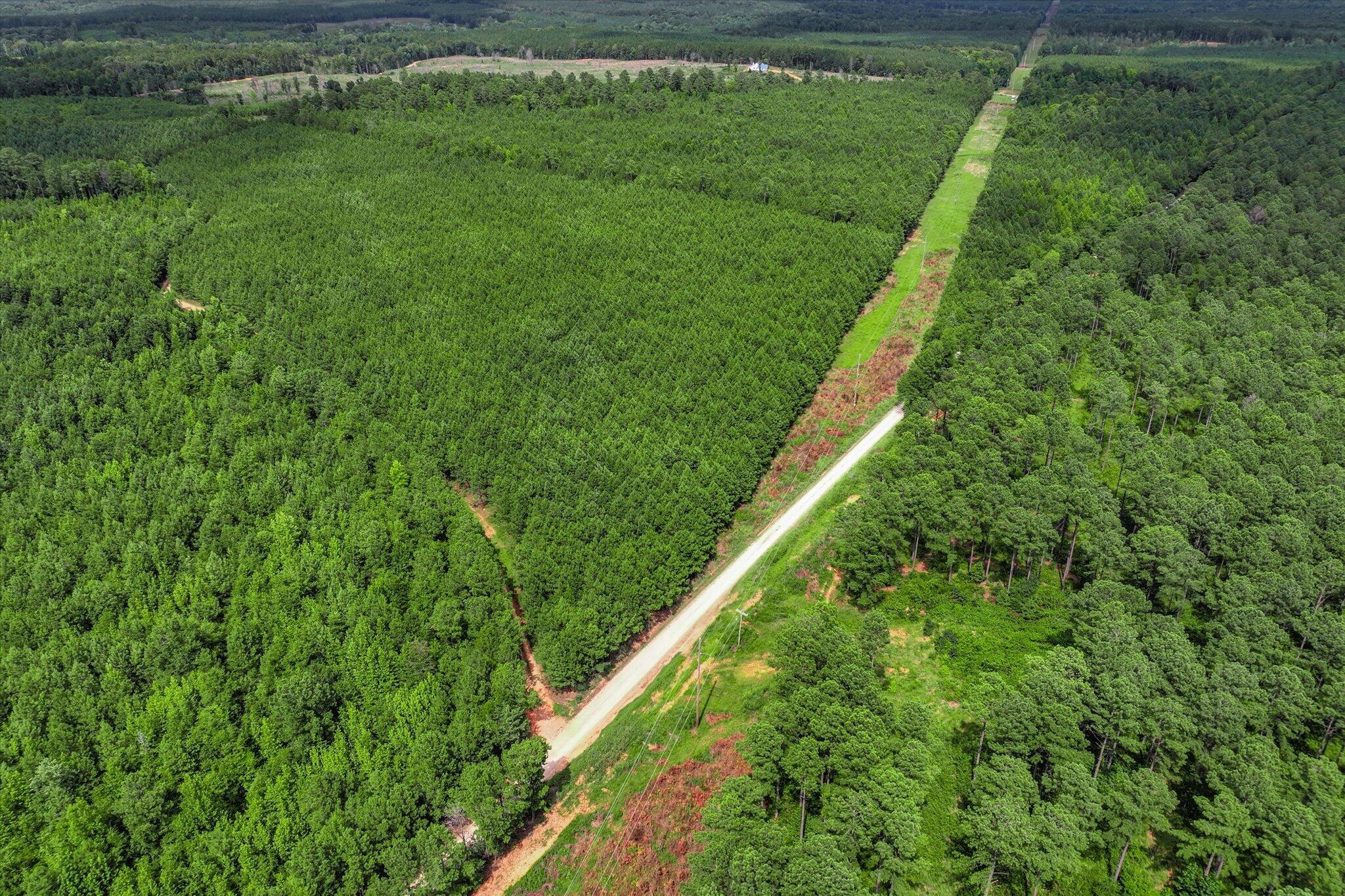 622 Log Creek Road Edgefield, SC 29824 - Photo 12 of 19