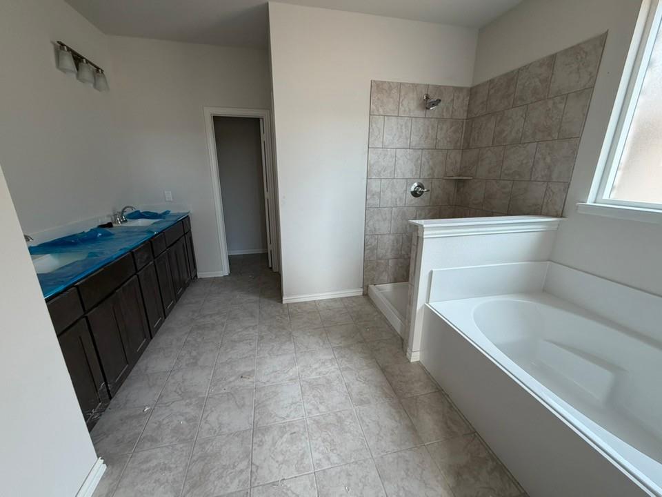 1224 Sabine River Lane Springtown, TX 76082 - Photo 8 of 17 a bathroom with a bathtub