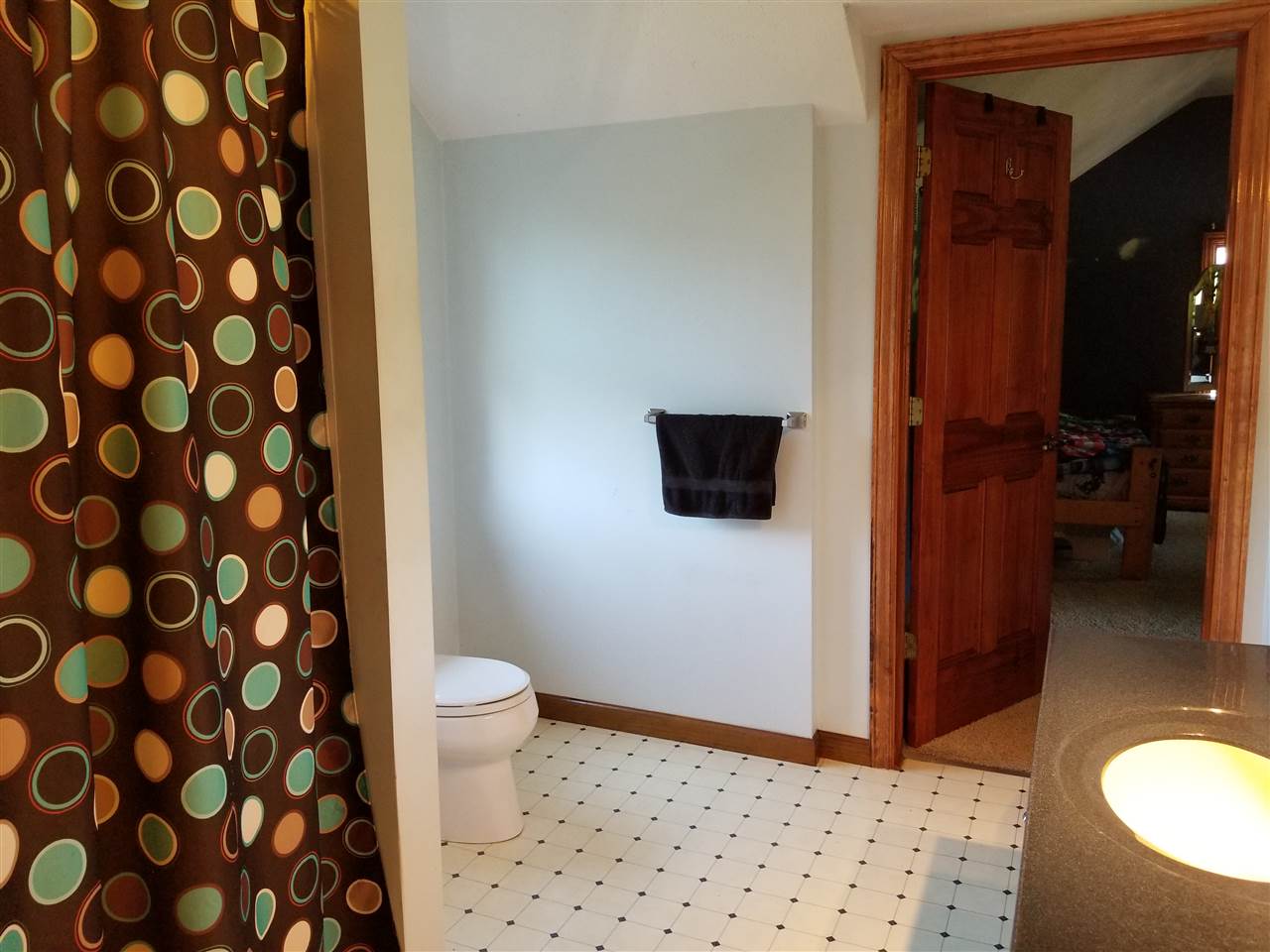 448 West Britton Road Morrice, MI 48857 - Photo 15 of 17 Gallery Image 15