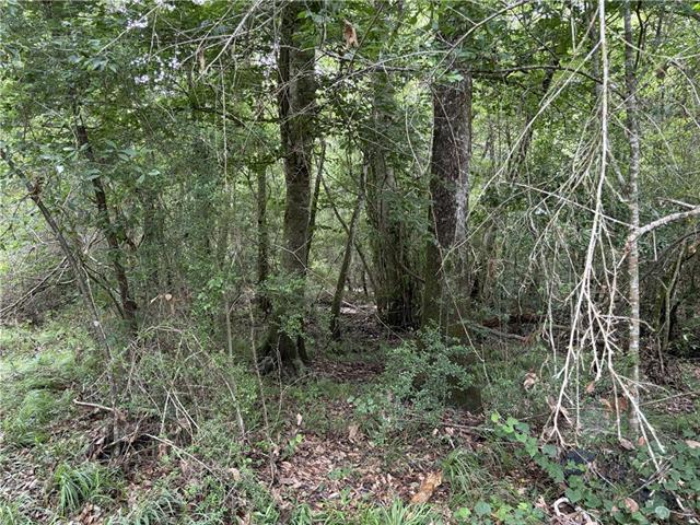 0 Thigpen Road Franklinton, LA 70438 - Photo 16 of 34