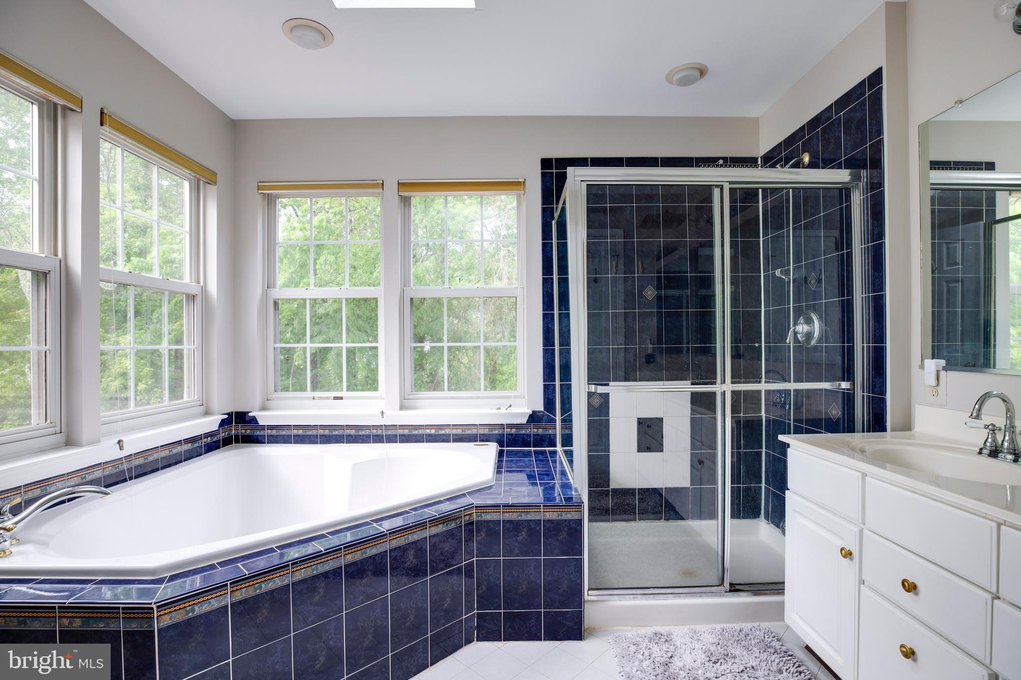 5909 Rinard Drive Centreville, VA 20120 - Photo 38 of 46 a bathroom with a tub and a sink