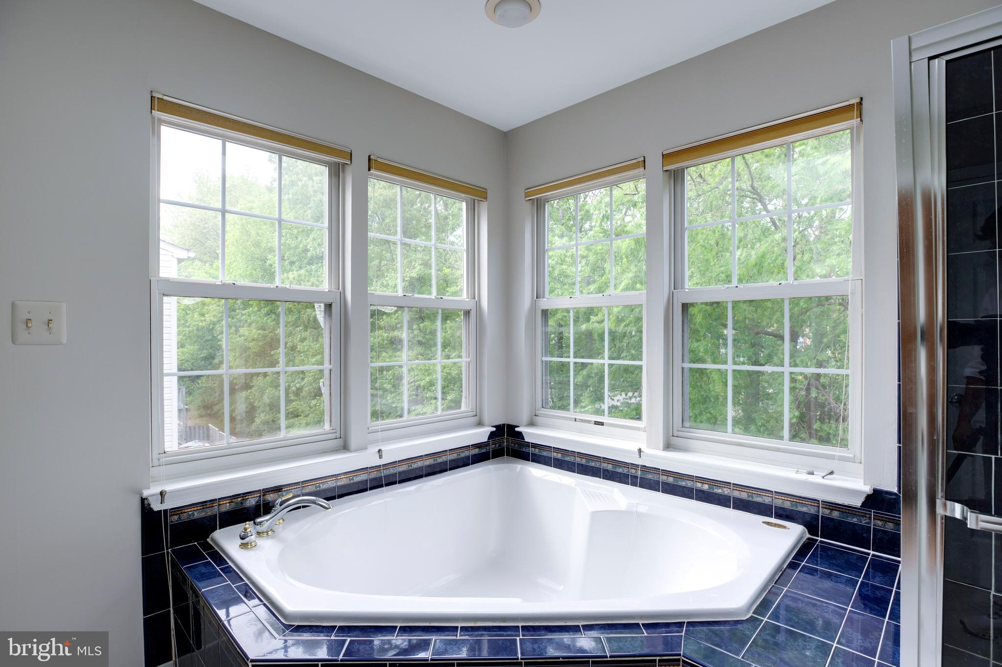 5909 Rinard Drive Centreville, VA 20120 - Photo 39 of 46 a white bath tub sitting in a bathroom next to a window
