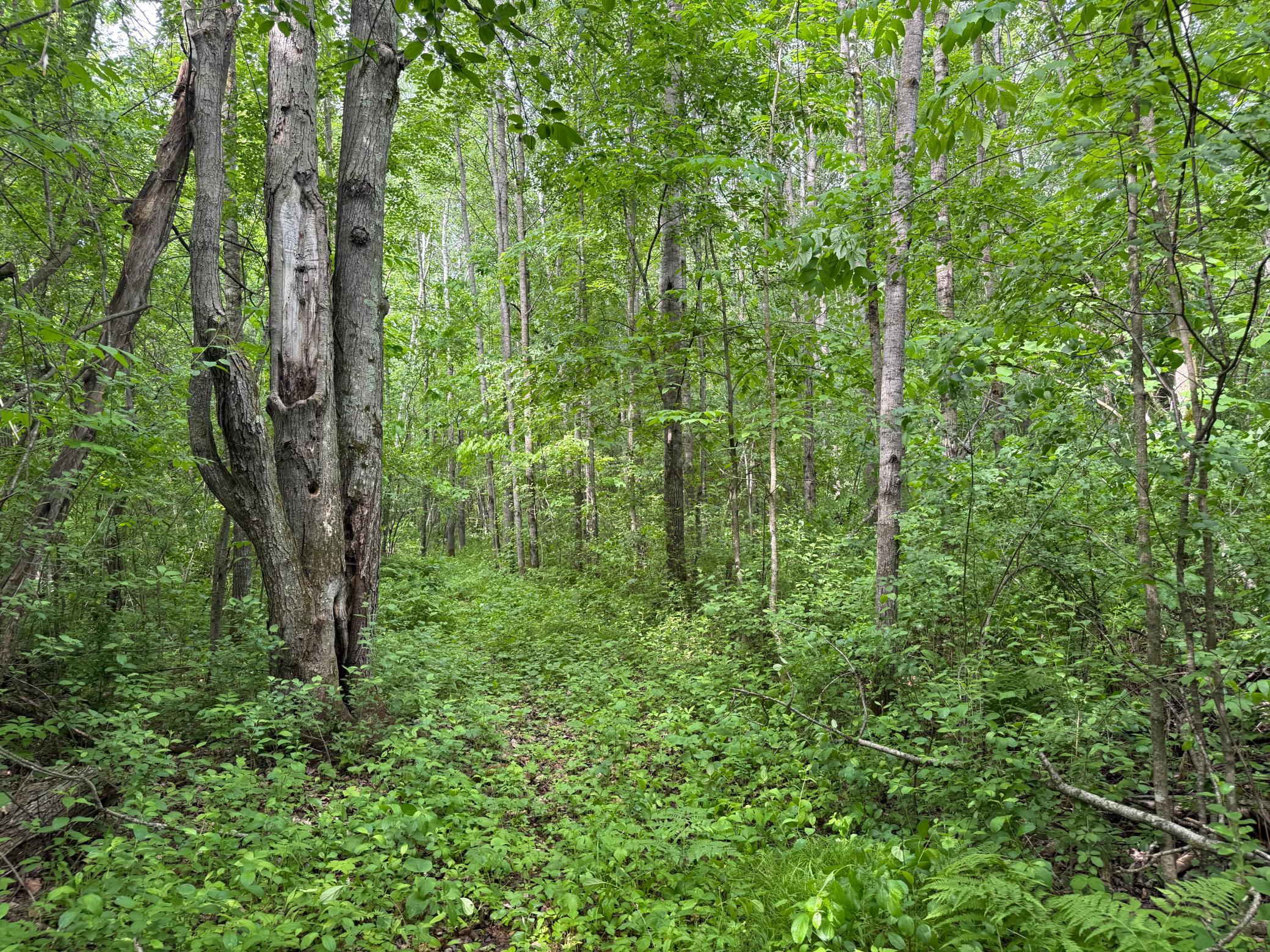 10551 Mallard Road Brook Park, MN 55007 - Photo 28 of 44