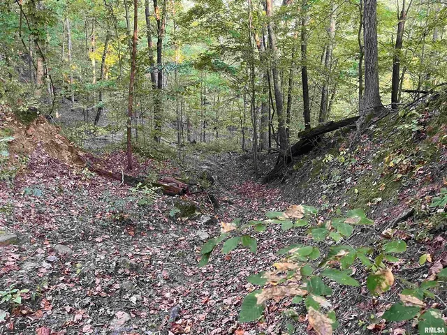 $295,000 | 5435 Hickory Ridge Road, Pomona, IL 62975