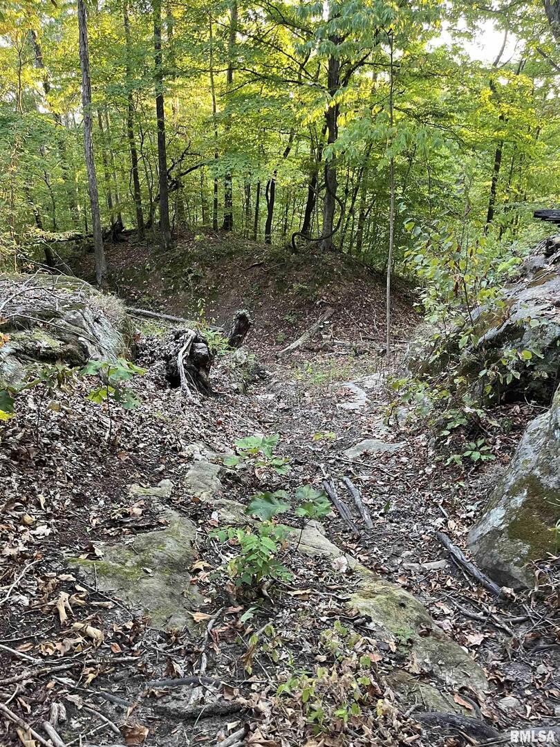 5435 Hickory Ridge Road Pomona, IL 62975 - Photo 55 of 77