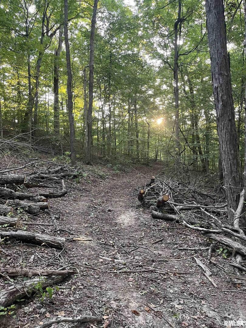 5435 Hickory Ridge Road Pomona, IL 62975 - Photo 56 of 77