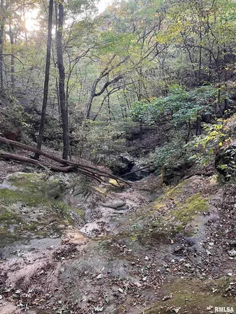 $295,000 | 5435 Hickory Ridge Road, Pomona, IL 62975