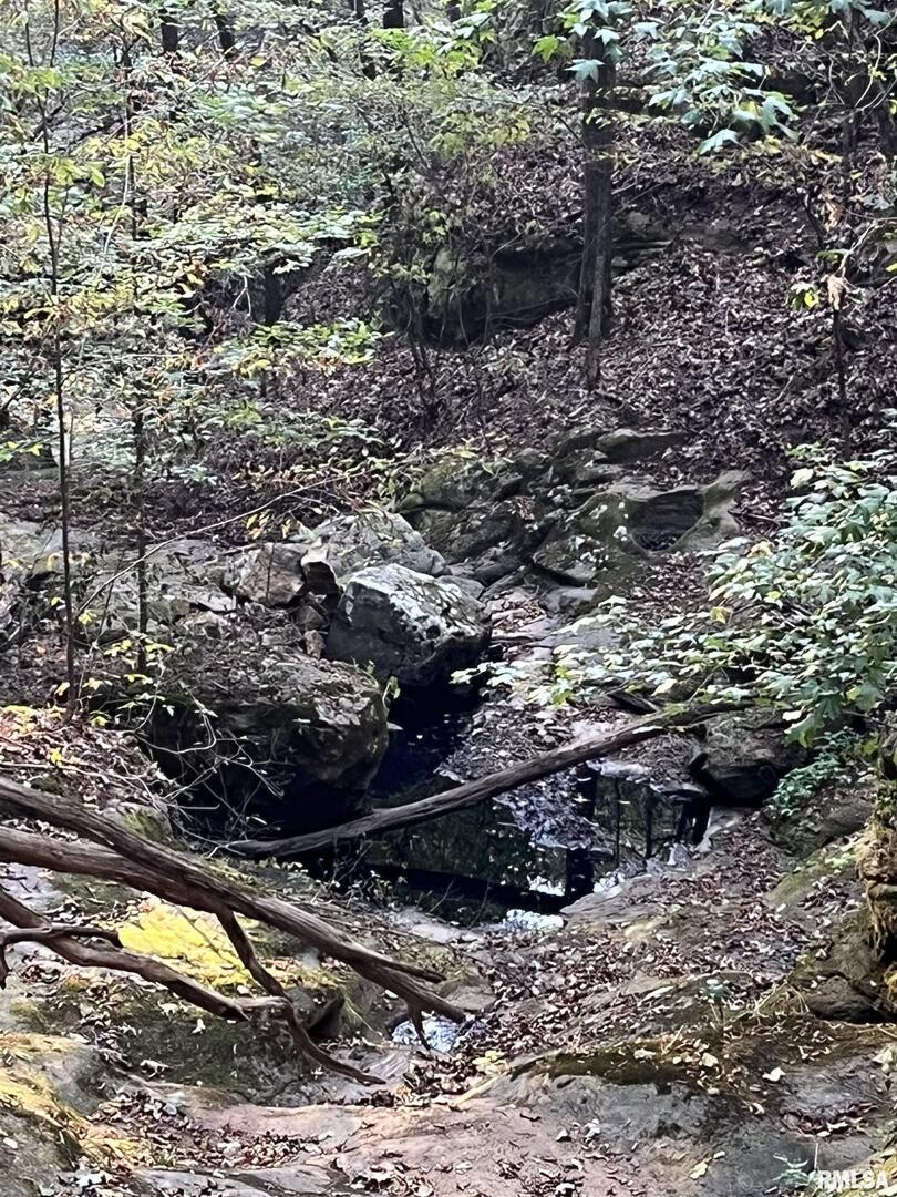 5435 Hickory Ridge Road Pomona, IL 62975 - Photo 58 of 77