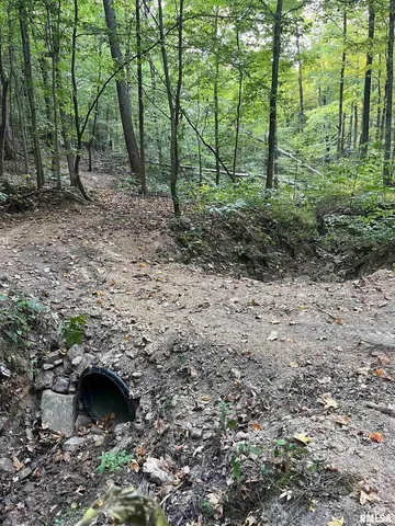 $295,000 | 5435 Hickory Ridge Road, Pomona, IL 62975