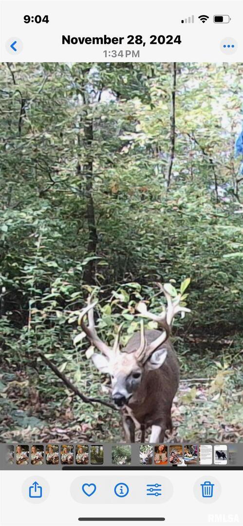 5435 Hickory Ridge Road Pomona, IL 62975 - Photo 63 of 77