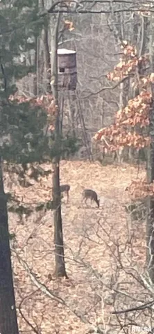 $295,000 | 5435 Hickory Ridge Road, Pomona, IL 62975