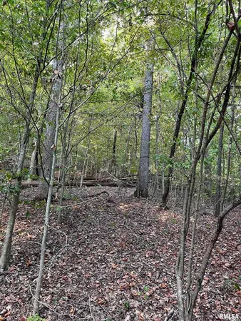 $295,000 | 5435 Hickory Ridge Road, Pomona, IL 62975