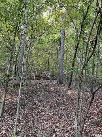 $295,000 | 5435 Hickory Ridge Road, Pomona, IL 62975