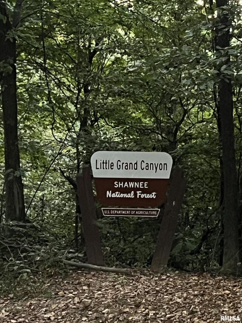 5435 Hickory Ridge Road Pomona, IL 62975 - Photo 74 of 77