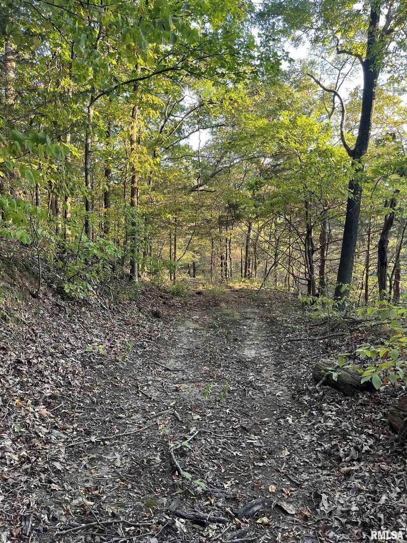 5435 Hickory Ridge Road Pomona, IL 62975 - Photo 76 of 77