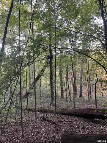 $295,000 | 5435 Hickory Ridge Road, Pomona, IL 62975