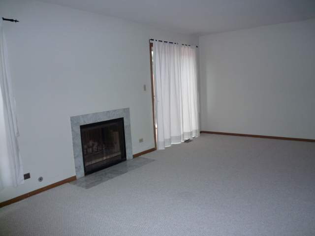 1812 77th Street Naperville, IL 60565 - Photo 3 of 17 an empty room with a fireplace