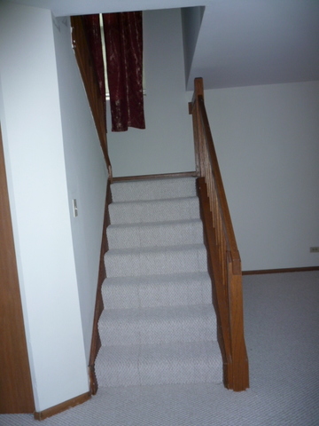 1812 77th Street Naperville, IL 60565 - Photo 4 of 17 a view of entryway