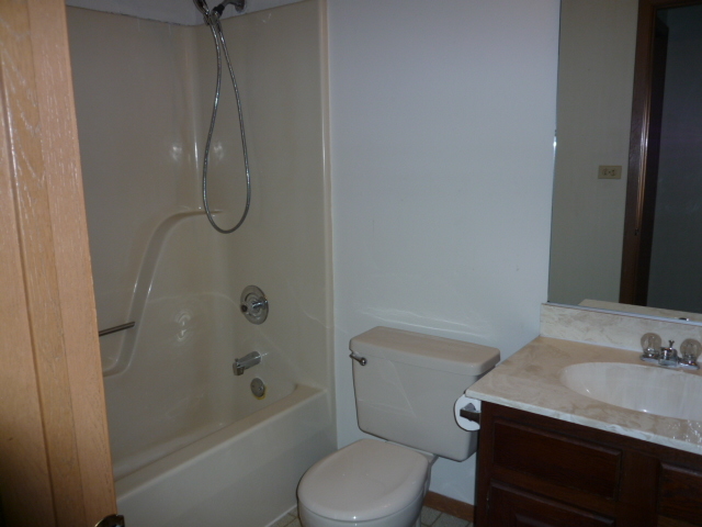 1812 77th Street Naperville, IL 60565 - Photo 8 of 17 a bathroom with a granite countertop sink toilet and shower