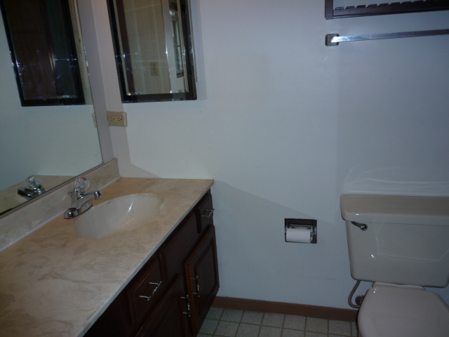 1812 77th Street Naperville, IL 60565 - Photo 10 of 17 a bathroom with a sink and a toilet