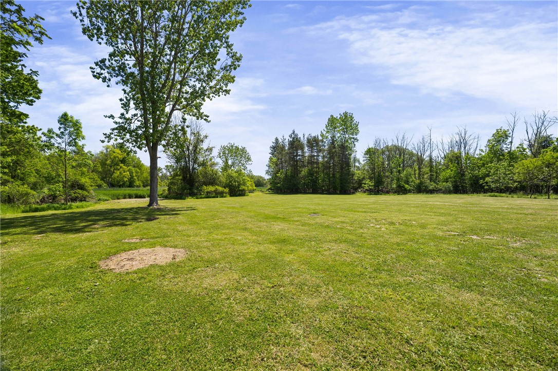 4581 Holley Byron Road Holley, NY 14470 - Photo 39 of 50 Back lawn leads to pond