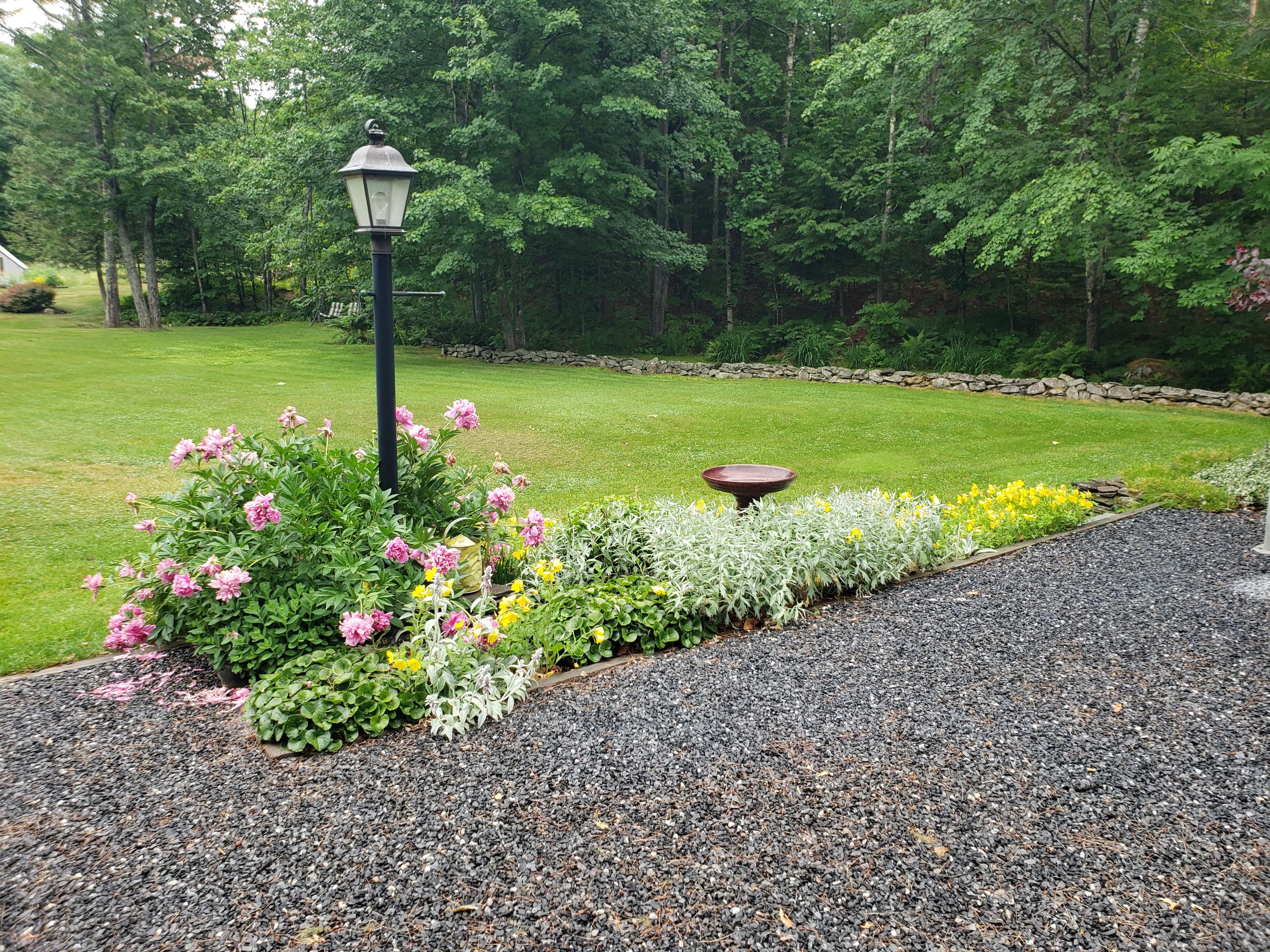 141 Warren Hill Road Jay, ME 04239 - Photo 86 of 101 20210622_141655