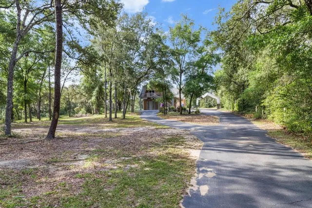 a view of a yard with plants and trees