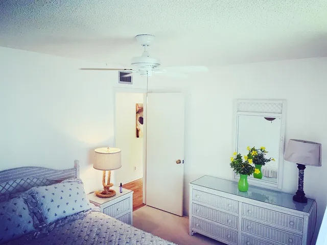 a bath room with a sink and a potted plant