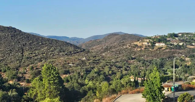 a view of a yard with plants and a trees