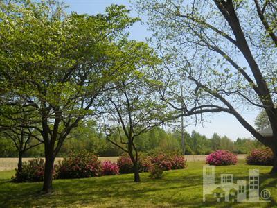 9364 Red Hill Road Clarkton, NC 28433 - Photo 8 of 9 Additional Photo