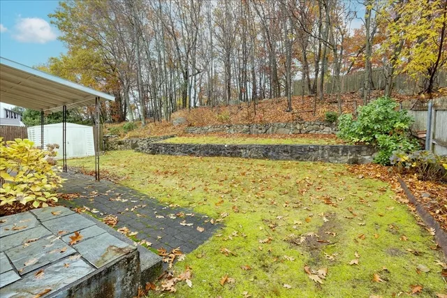 a view of yard with tree