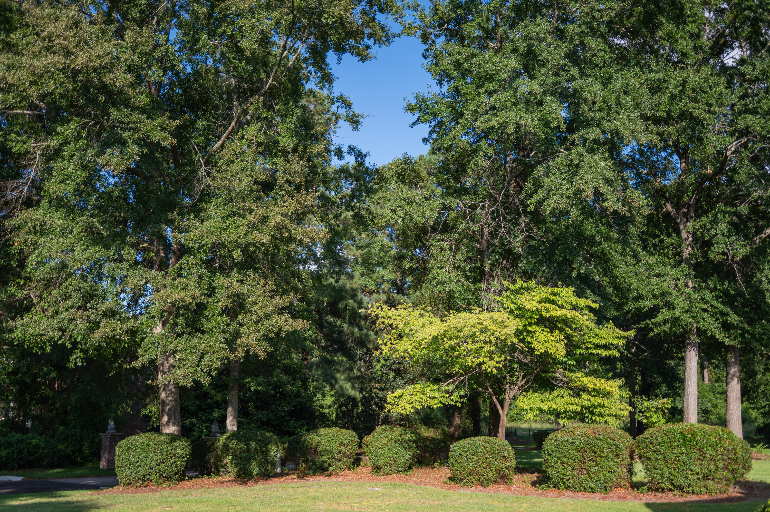 3260 Home Place Road Sumter, SC 29150 - Photo 102 of 103 IMG_3720