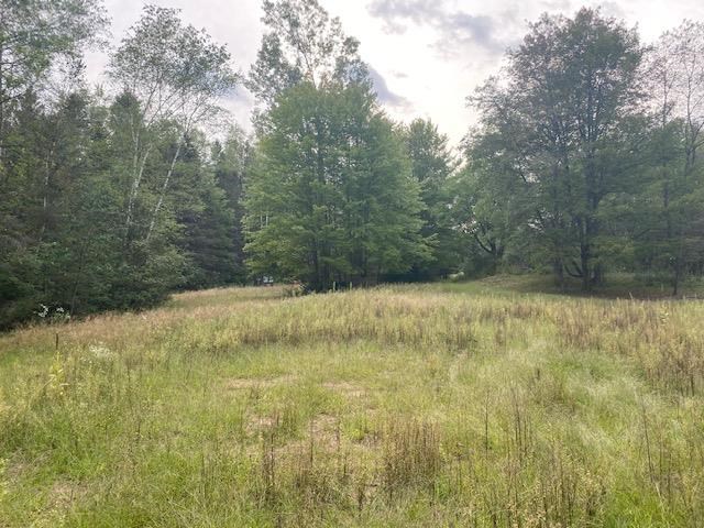 2877 Klender Road Rhodes, MI 48652 - Photo 17 of 27
