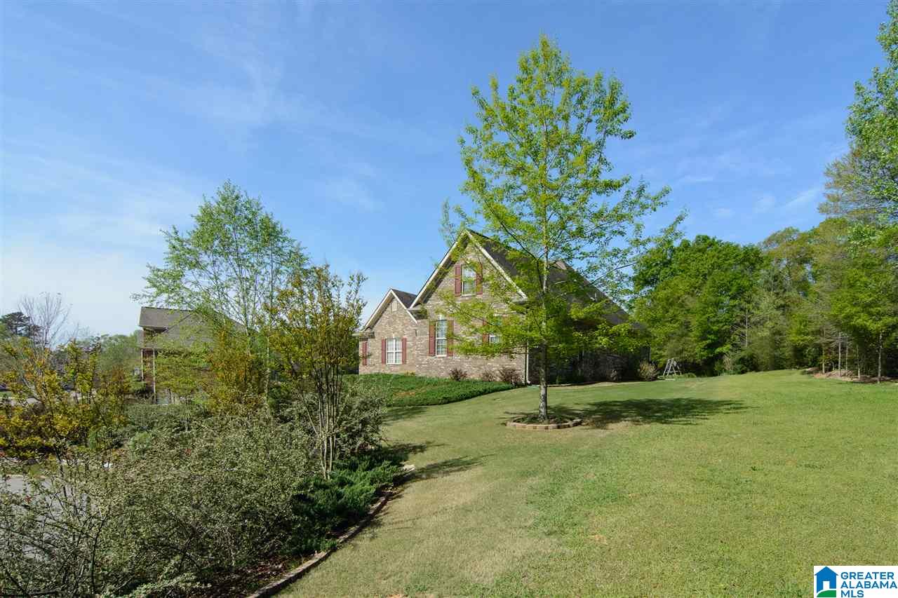 131 Sydney Lane Chelsea, AL 35043 - Photo 43 of 46