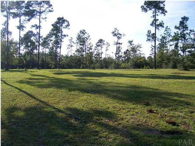 0 Schifko Road Cantonment, FL 32533 - Photo 1 of 2 This view is from the front of the property to the back.