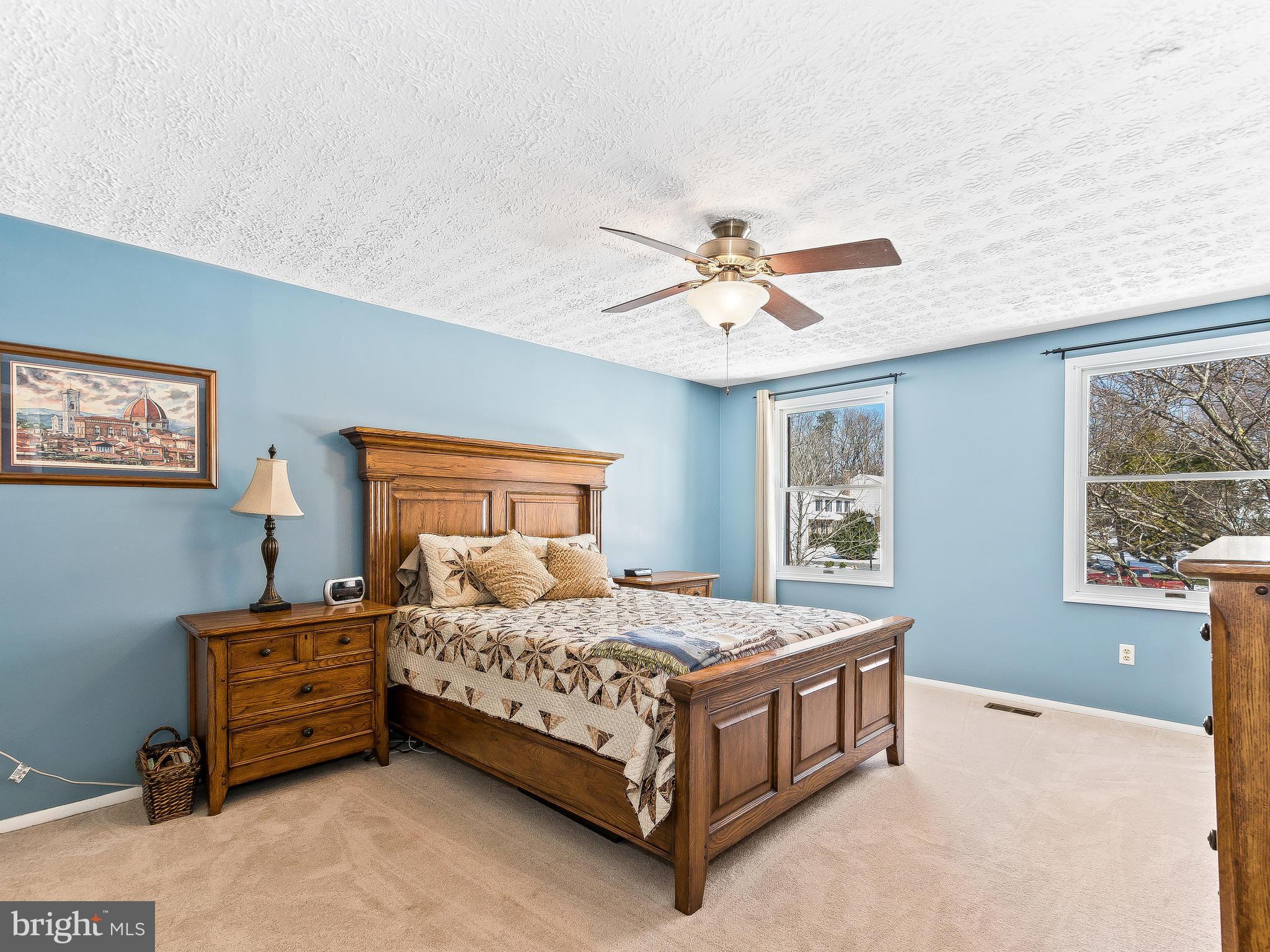 8017 Treasure Tree Court Springfield, VA 22153 - Photo 17 of 29 Master Retreat