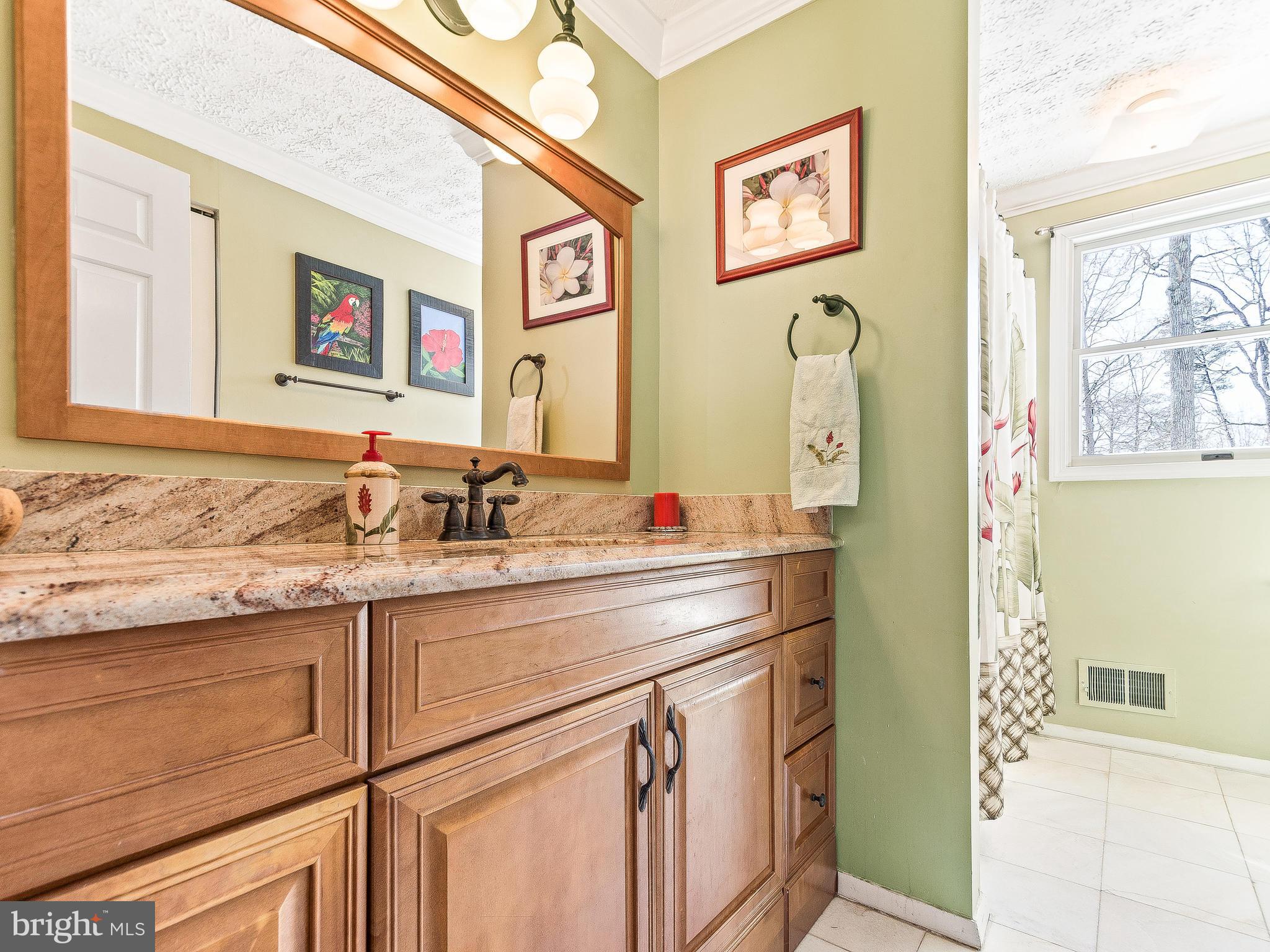 8017 Treasure Tree Court Springfield, VA 22153 - Photo 20 of 29 Hall Bath with Granite and Upgraded Cabinetry