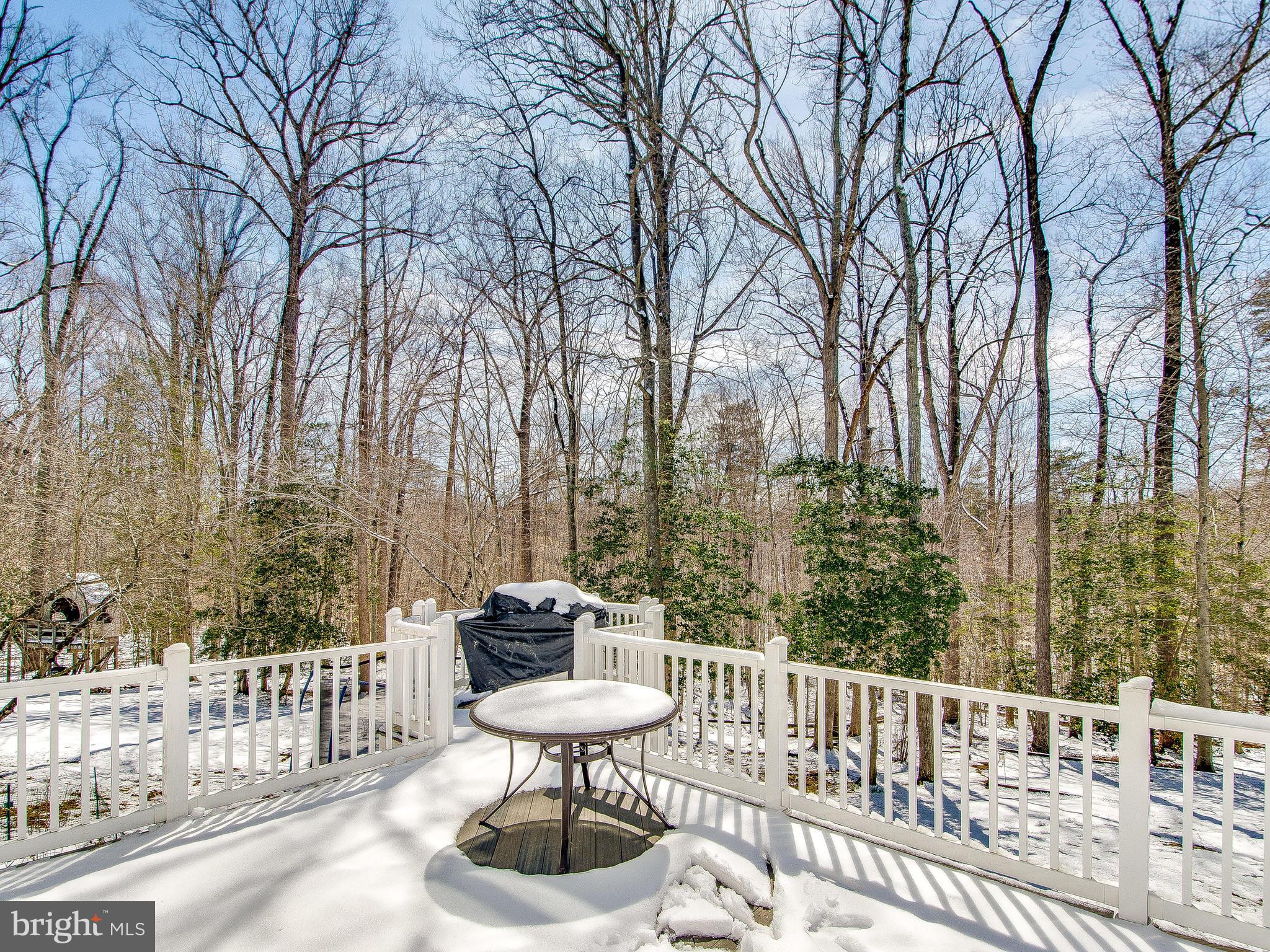 8017 Treasure Tree Court Springfield, VA 22153 - Photo 26 of 29 TREX Deck