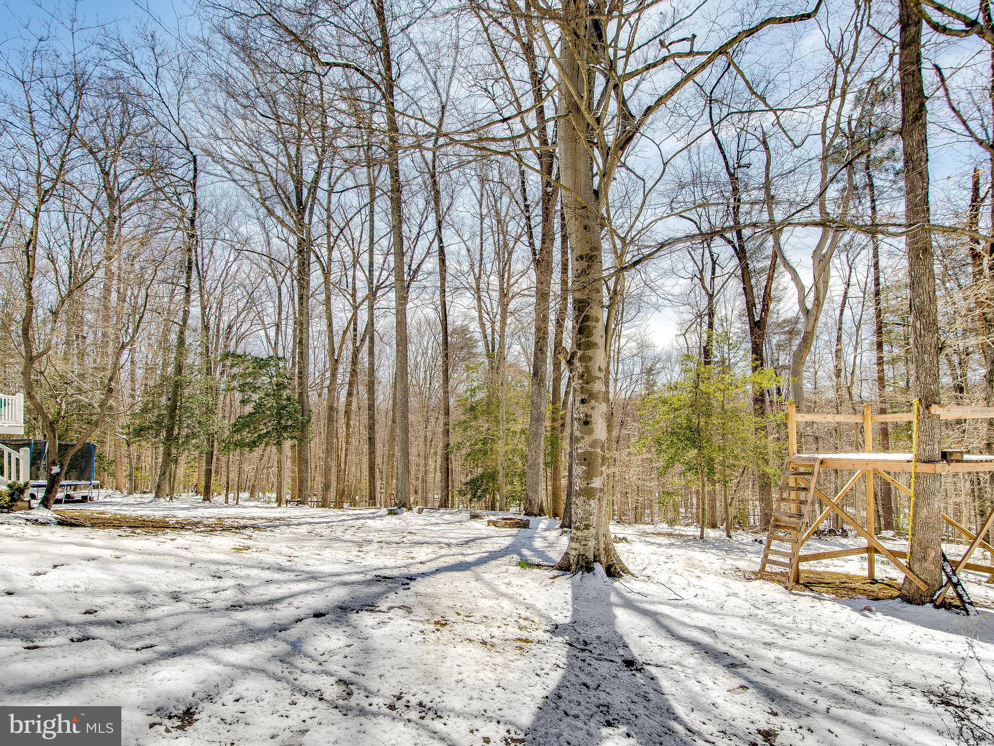 8017 Treasure Tree Court Springfield, VA 22153 - Photo 29 of 29 Almost 1/2 Acre