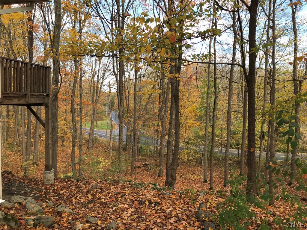 1981 Shepard Road Marcellus, NY 13108 - Photo 13 of 46