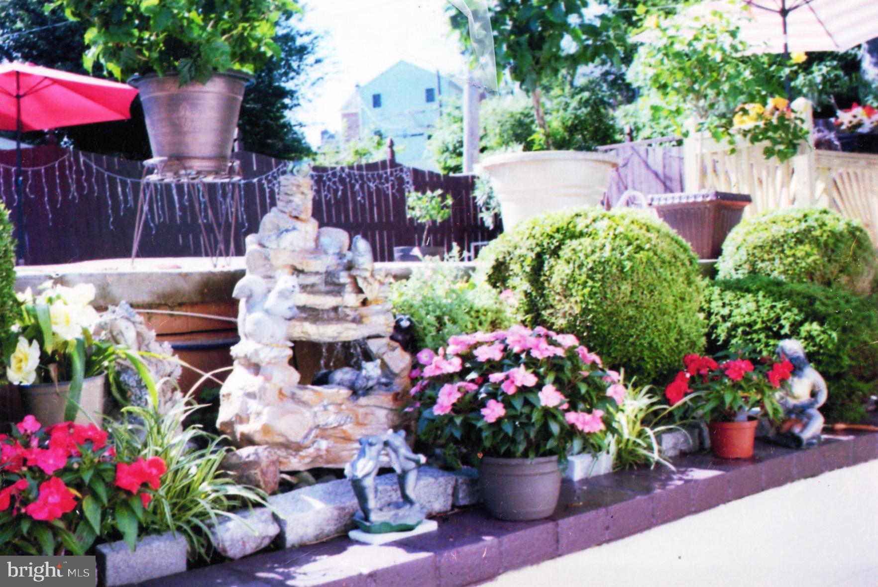 293 Friendship Road Drexel Hill, PA 19026 - Photo 12 of 23 Gardens in Bloom