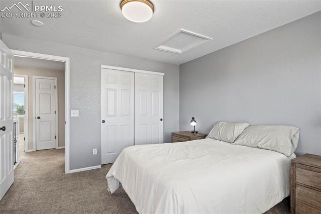 8669 Tibbs Road Peyton, CO 80831 - Photo 18 of 49 Gallery Image 18
