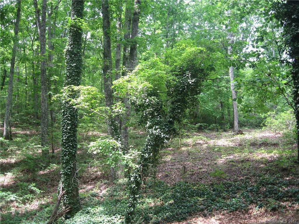 0 Jervey Road Landrum, SC 29356 - Photo 4 of 4 a view of a yard with plants and large trees